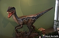 VBS_0883 - Dinosauri. Terra dei giganti